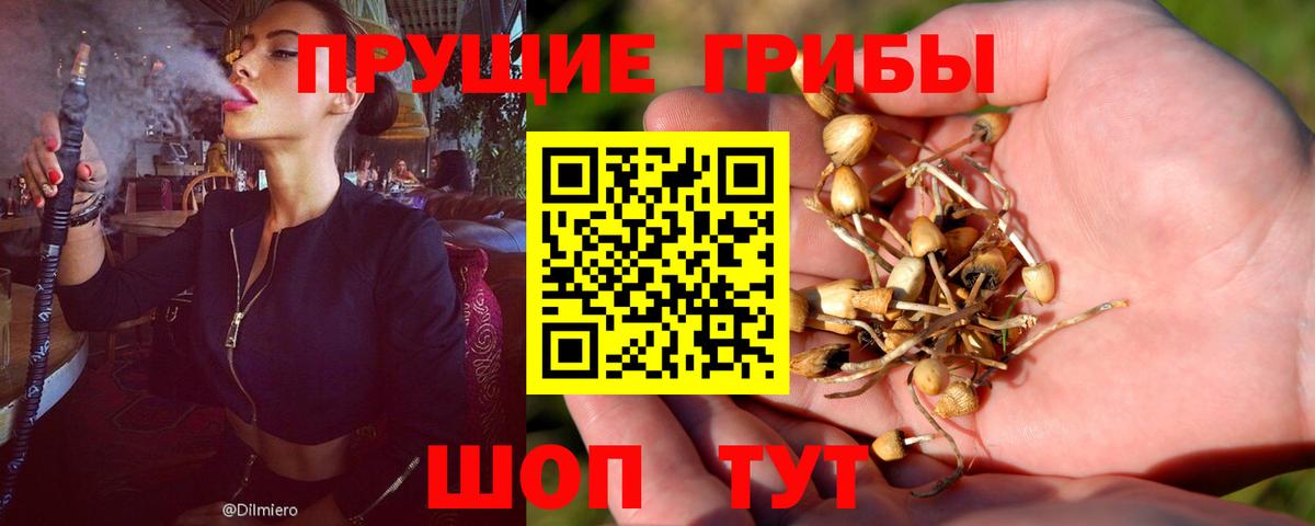 Псилоцибиновые грибы GOLDEN TEACHER Малоярославец
